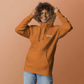Inclusion Celebrate all Minds Autism Awareness Hoodie